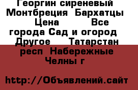 Георгин сиреневый. Монтбреция. Бархатцы.  › Цена ­ 100 - Все города Сад и огород » Другое   . Татарстан респ.,Набережные Челны г.